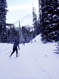image of people cross country skiing